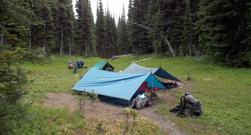 tents rest in a clearing of a wooded area